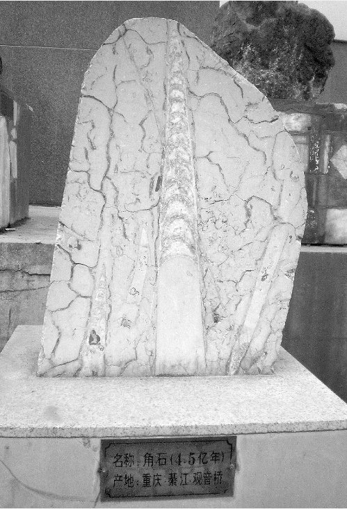 中间的管道很窄小. /p>