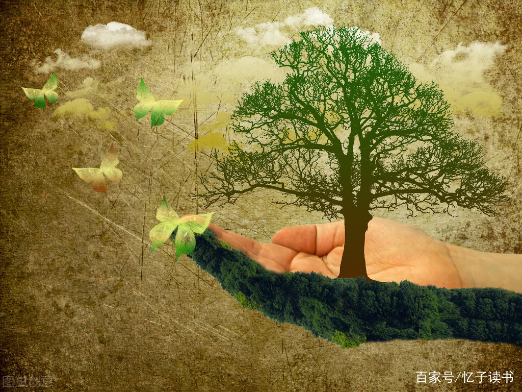 看懂了日本小说《竹林中》，你就悟透了5种人性_百科TA说