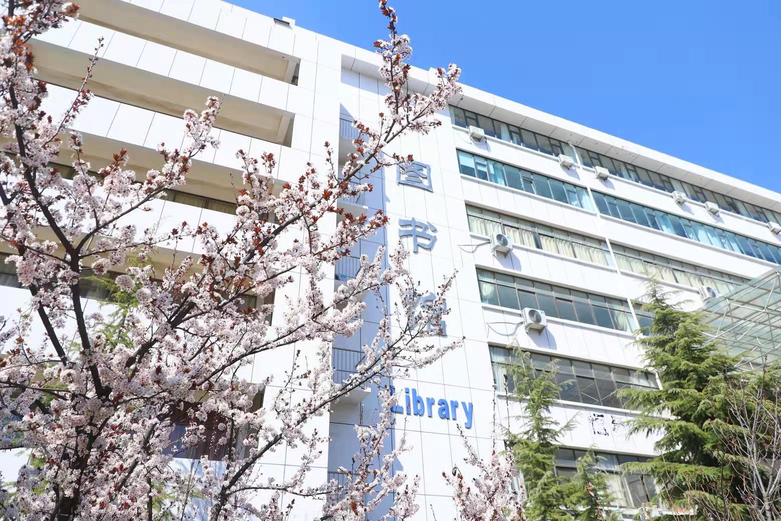 青岛恒星职业技术学院