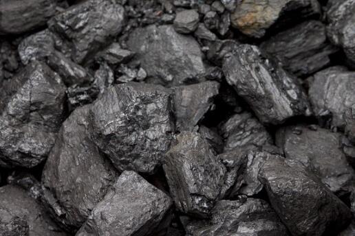  p>腐泥煤是煤的一类,由湖沼,潟湖或闭塞的浅海环境中的藻类植物及