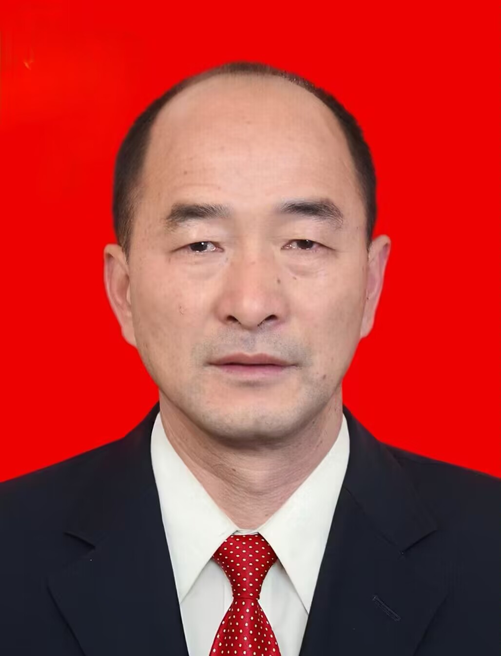 现任浙江省金华市武义县桃溪镇副镇长,项湾村党支部书记,村委会主任