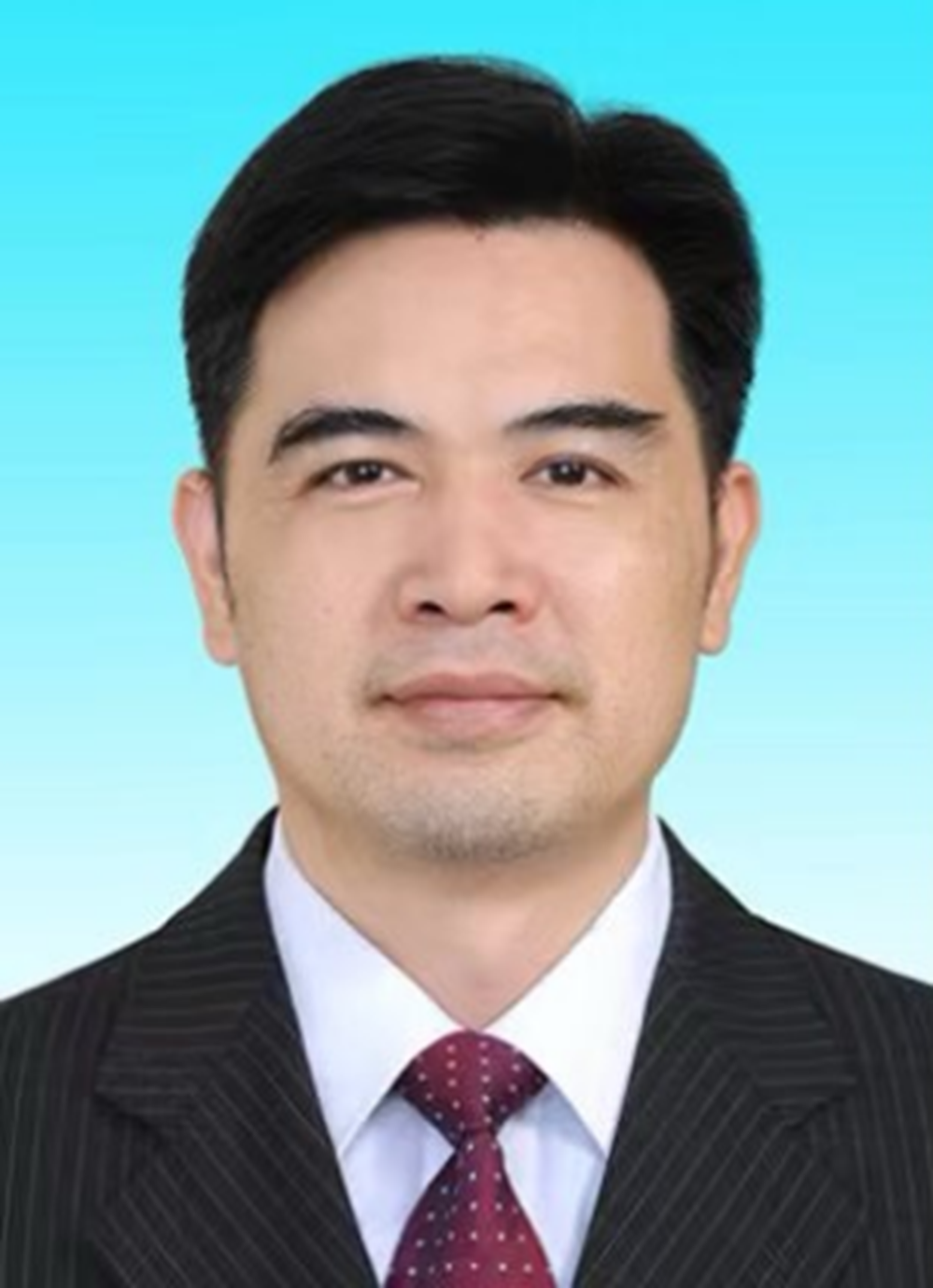 id="u7apesabh7ni">现任广东省河源市和平县人民政府党组