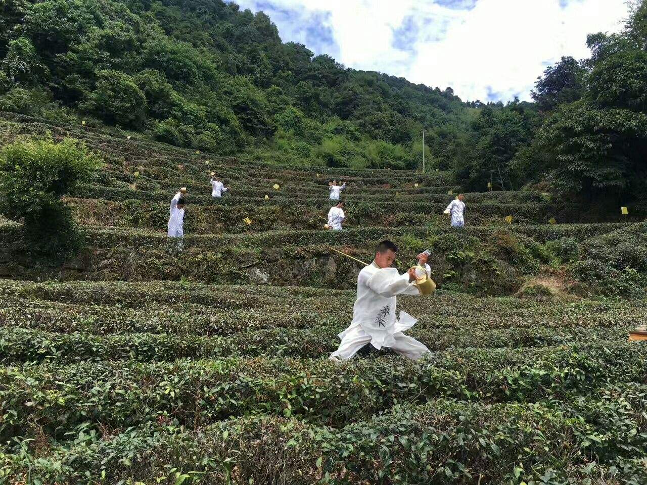 蒙顶山派茶技