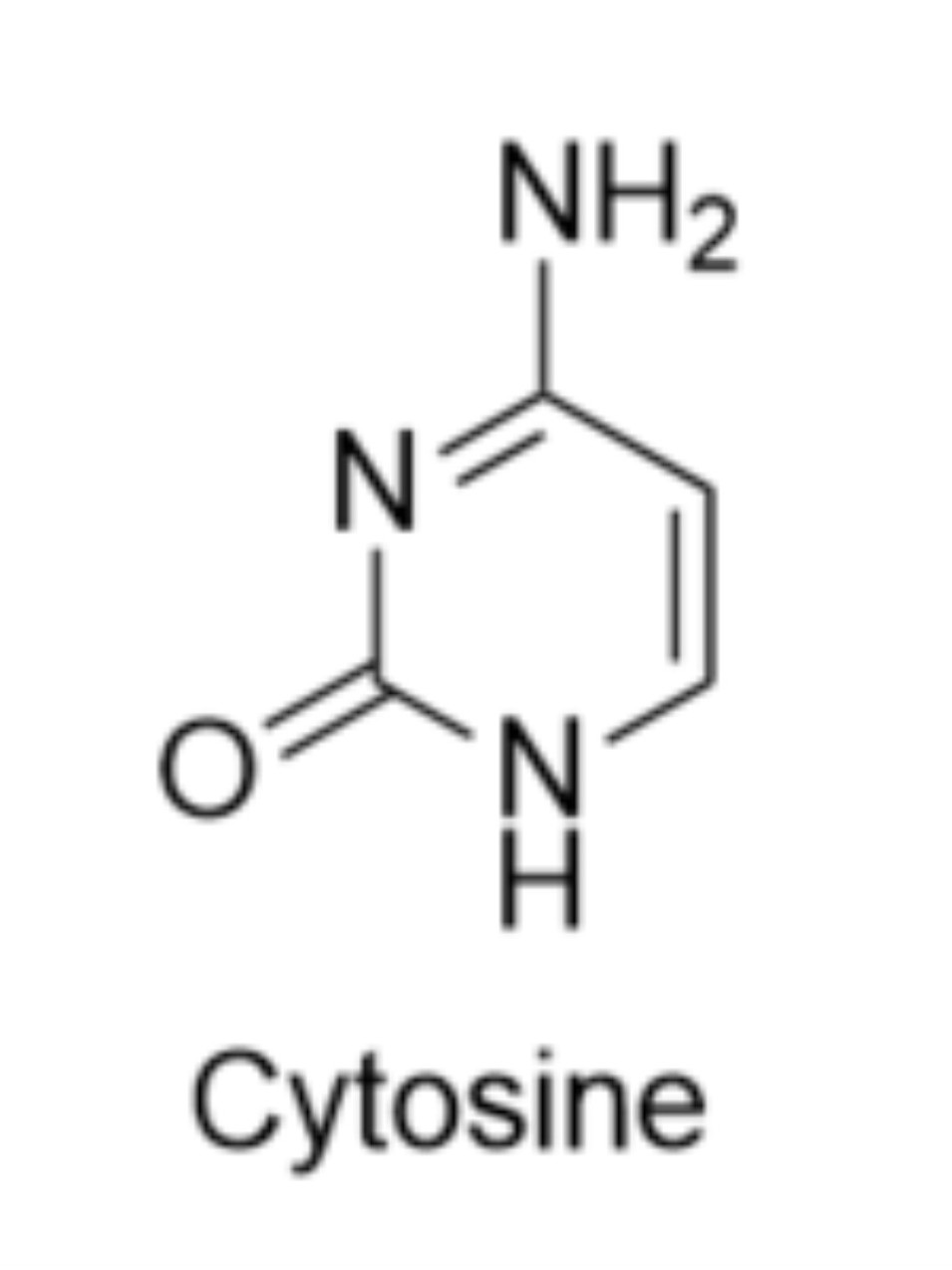 4-氨基-2-羟基嘧啶