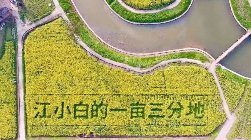 江小白的一亩三分地