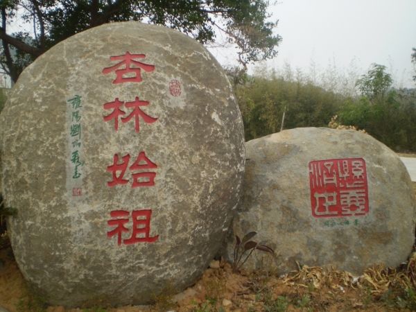 教育界称“杏坛”，因孔子讲学之故，中医界因何又称“杏林”？_百科TA说