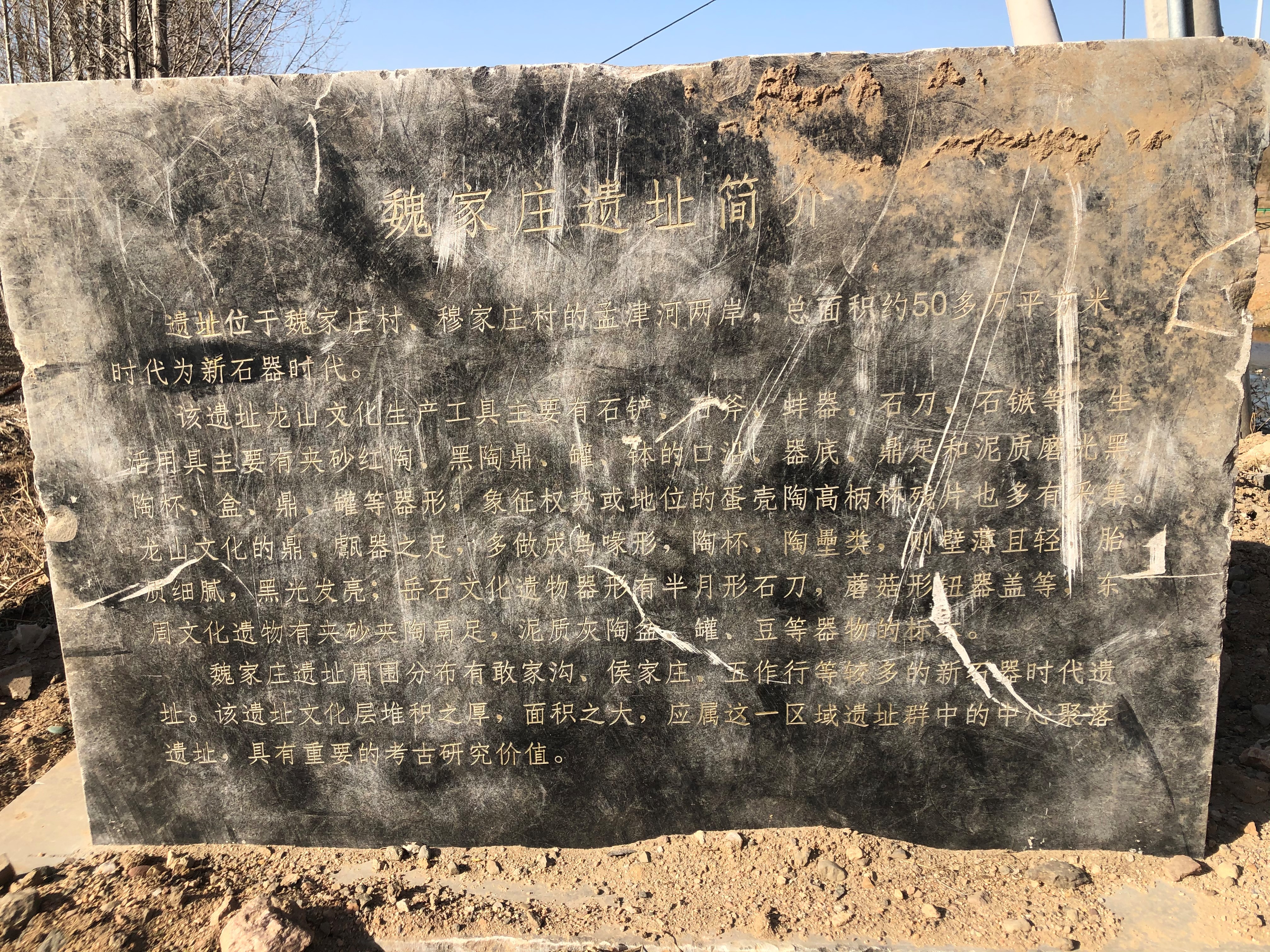魏家庄遗址