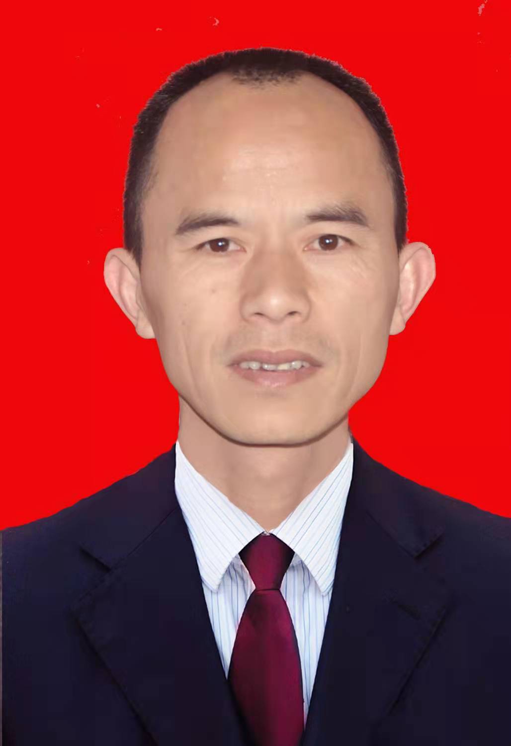  p data-id="ti9lr98kyoqg">姓名:张智勇,现任湖南省长沙市宁乡市 a