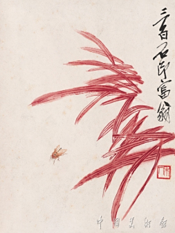 红草飞蛾