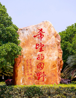 希望的田野（武汉校区）