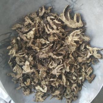 升麻（毛茛科升麻属植物）_百度百科
