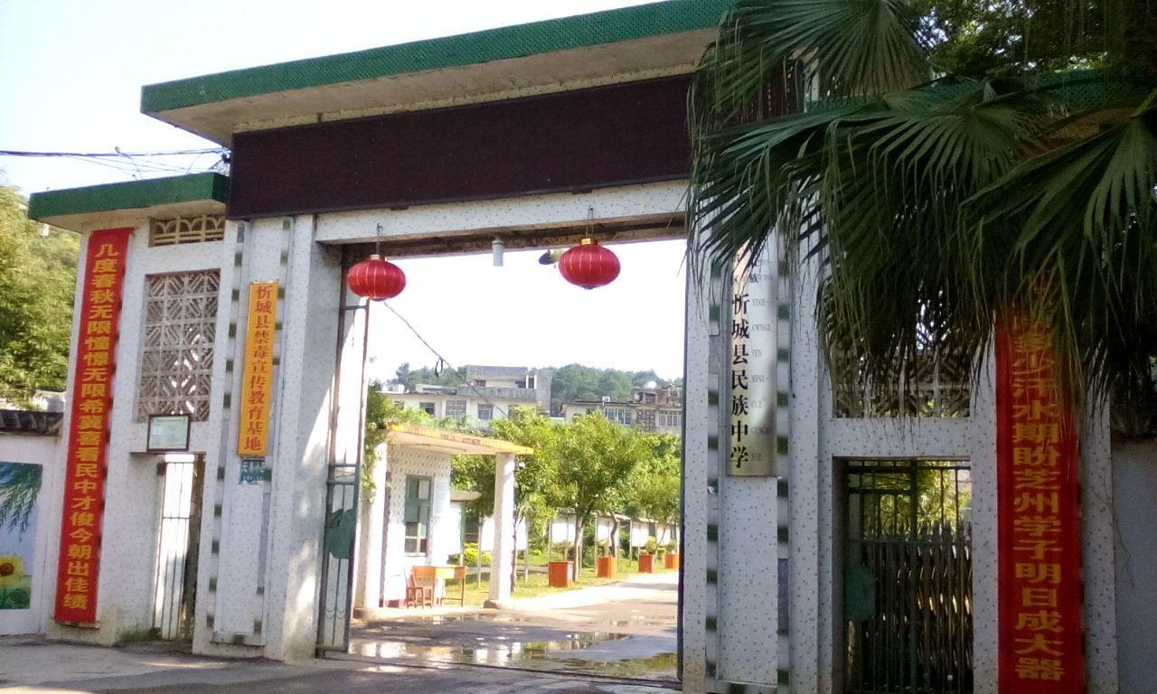  p>忻城县民族中学始建于1982年,位于城关镇翠屏北路,主要经营负责本