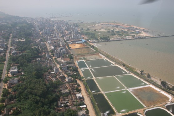  p>杨柑镇位于湛江市 a target="_blank" href="/item/遂溪县