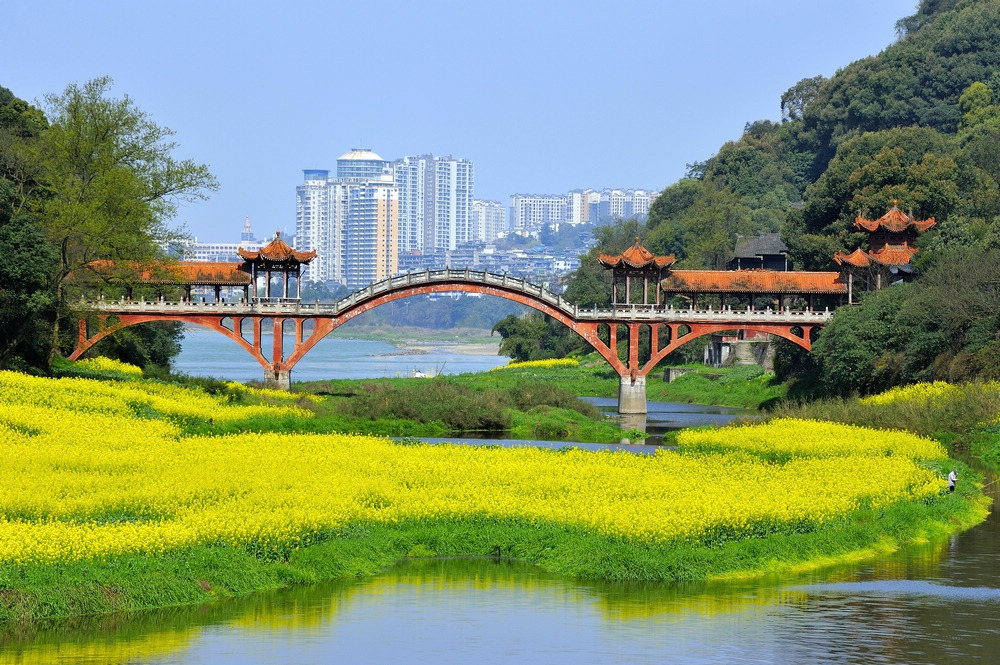 乐山市行政区划