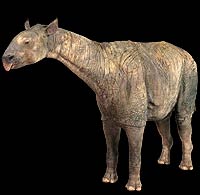 巨犀(indricotherium)