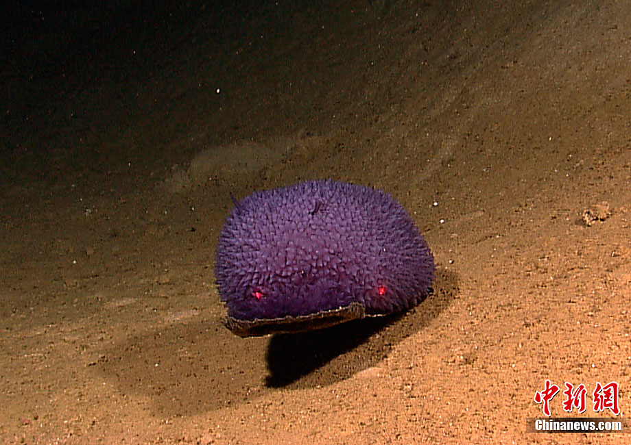 卡维奥巴拉特海底火山