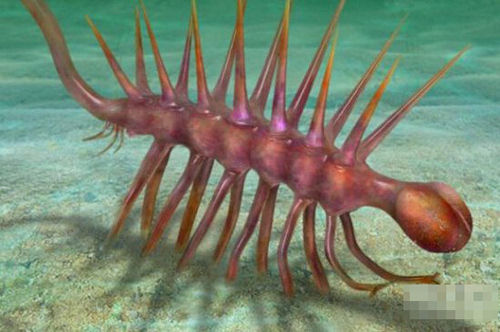  p>怪诞虫是已经灭绝了的一种动物.