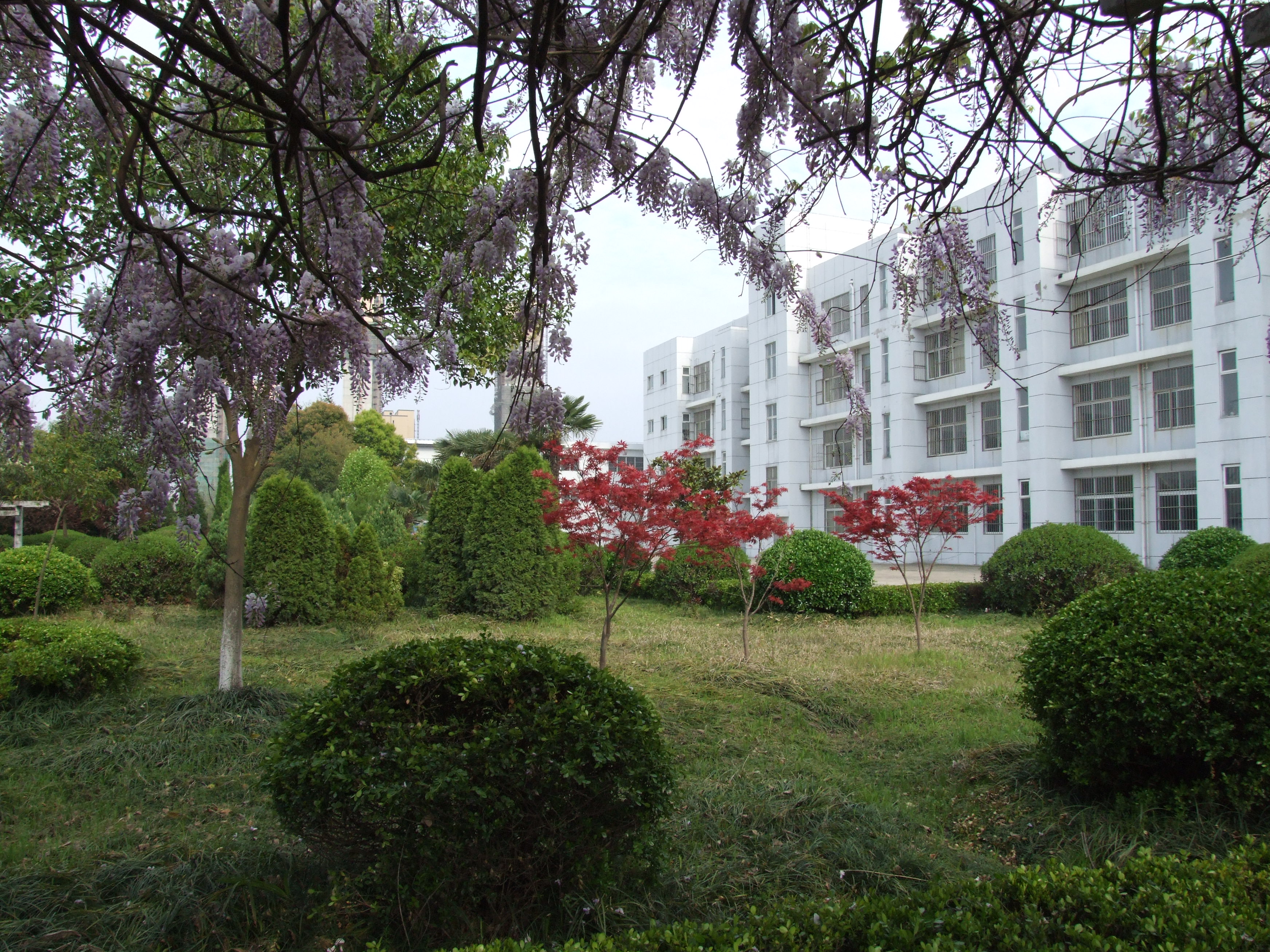 常州市新桥高级中学