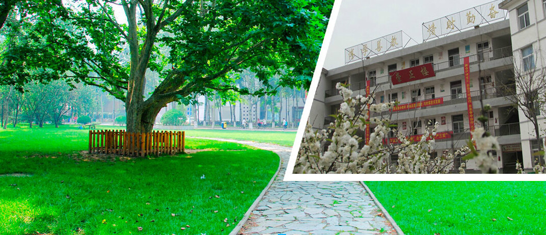 阜阳市插花重点中学