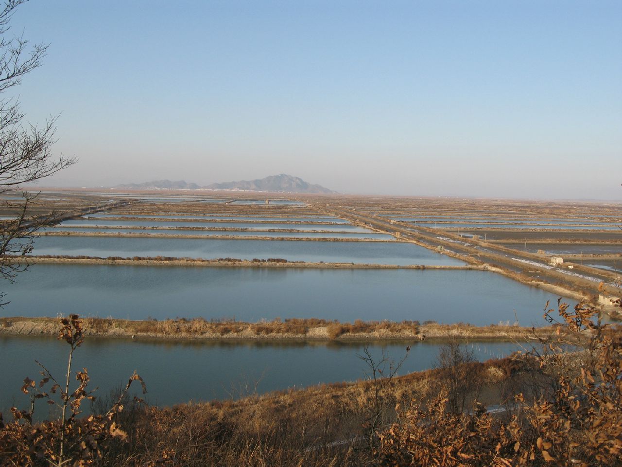  p>海洋红农场位于辽宁省 a target="_blank" href="/item/东港市">