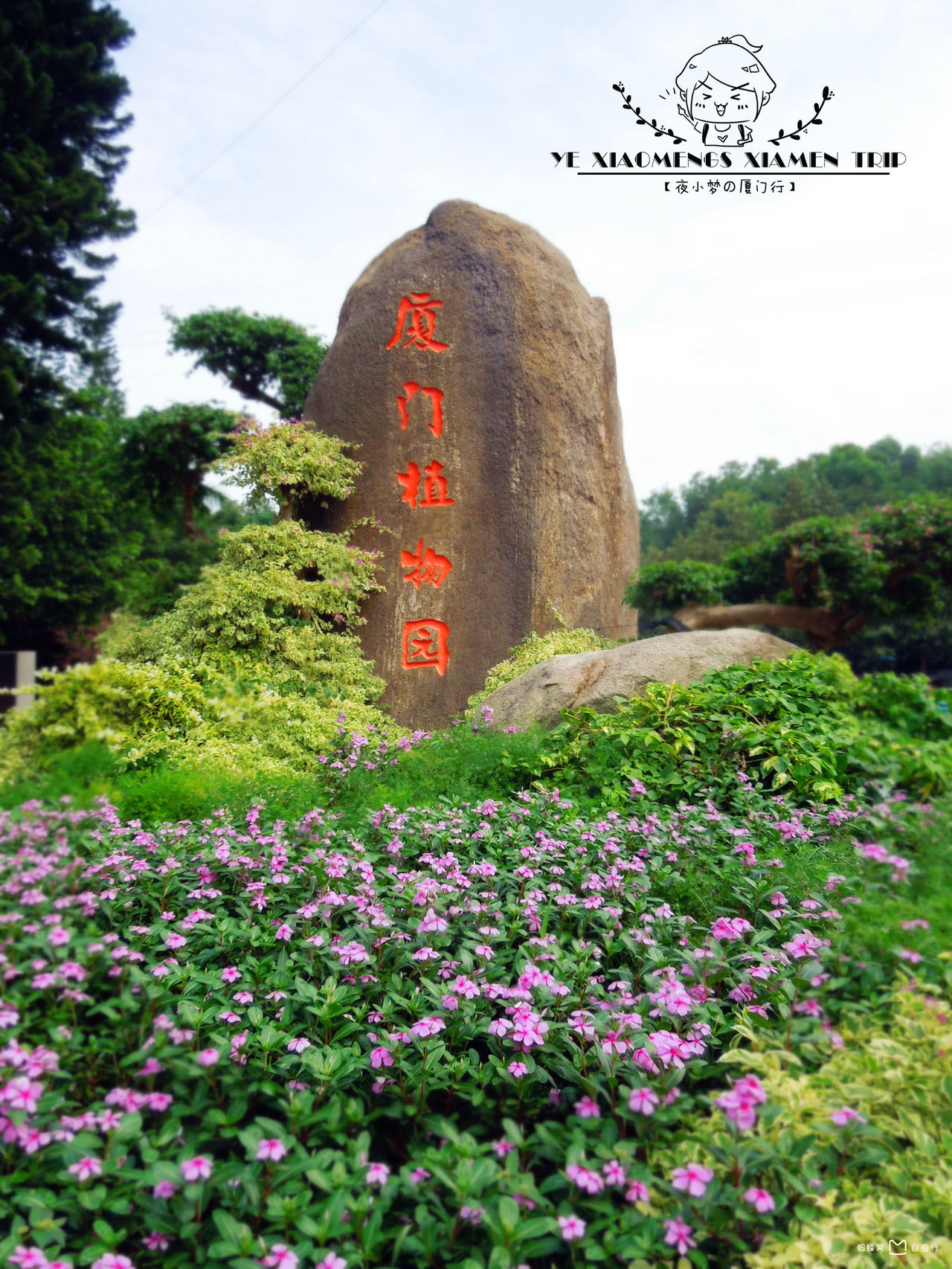  p>厦门园林植物园,俗称"万石植物园",位于福建省 a target="_blank"