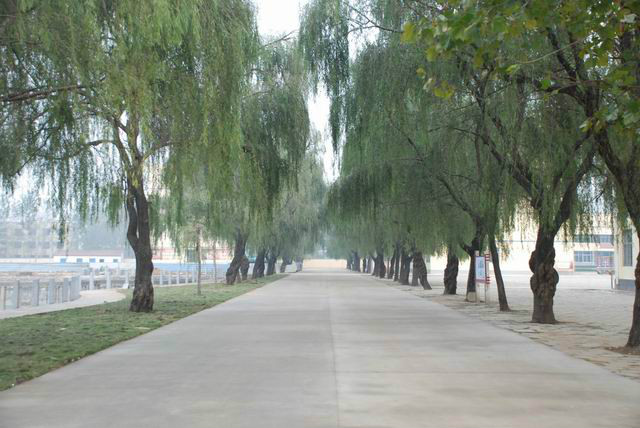  p>赣榆城南高级中学是一所三星级高级中学,位于县城南部(原城南乡