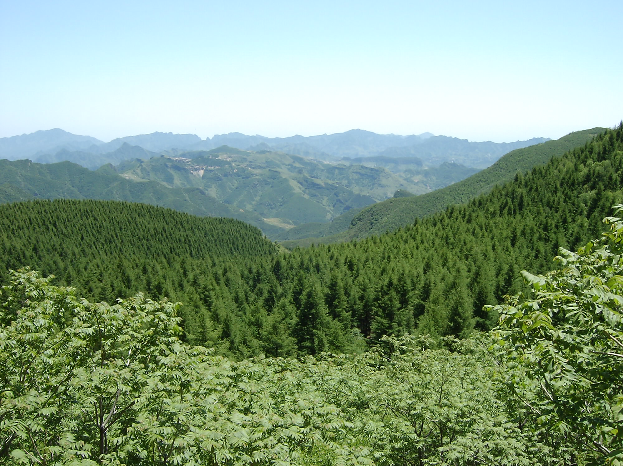 蓟县黄花山风景区是 a target="_blank" href="/item/天津九龙山国家