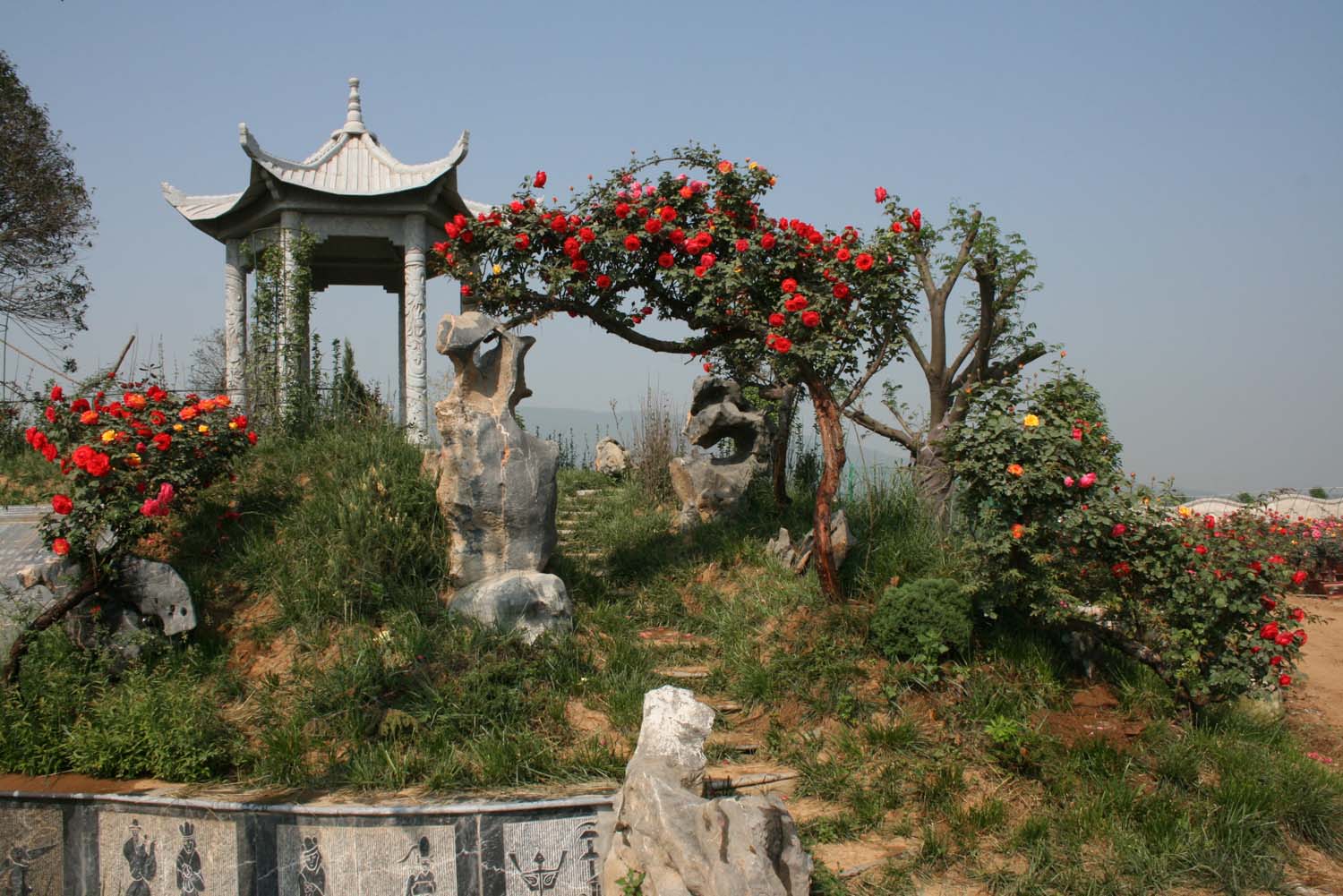 南阳月季博览园