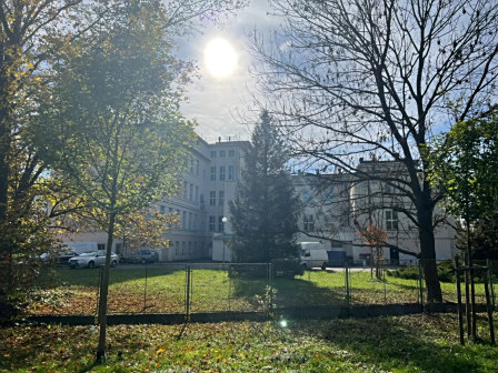 查理大学图片