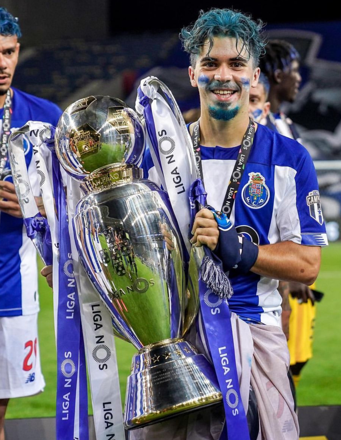 维蒂尼亚·费雷拉