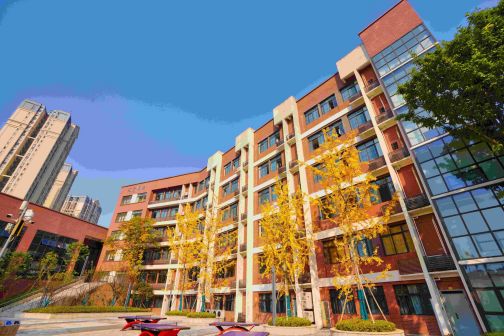 重庆两江新区西南大学附属中学_百度百科