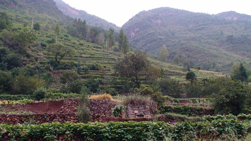  p>辛街乡,隶属于云南省保山市隆阳区,地处 a target="_blank" href="