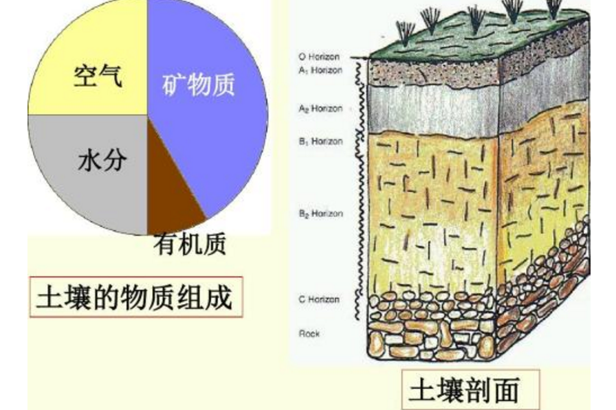  p>土壤层次分为 a target="_blank" href="/item/覆盖层/7371690"