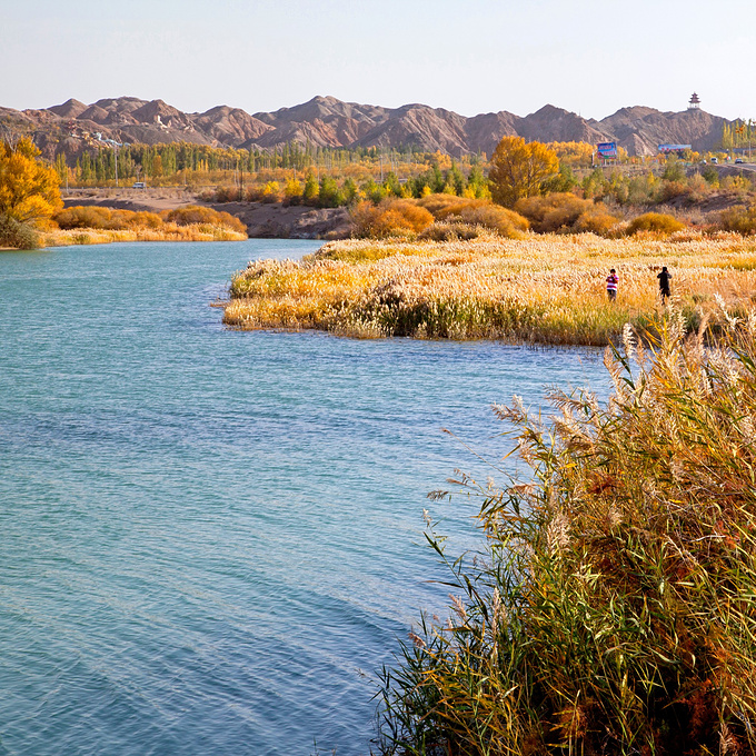 金塔县鸳鸯池水利风景区