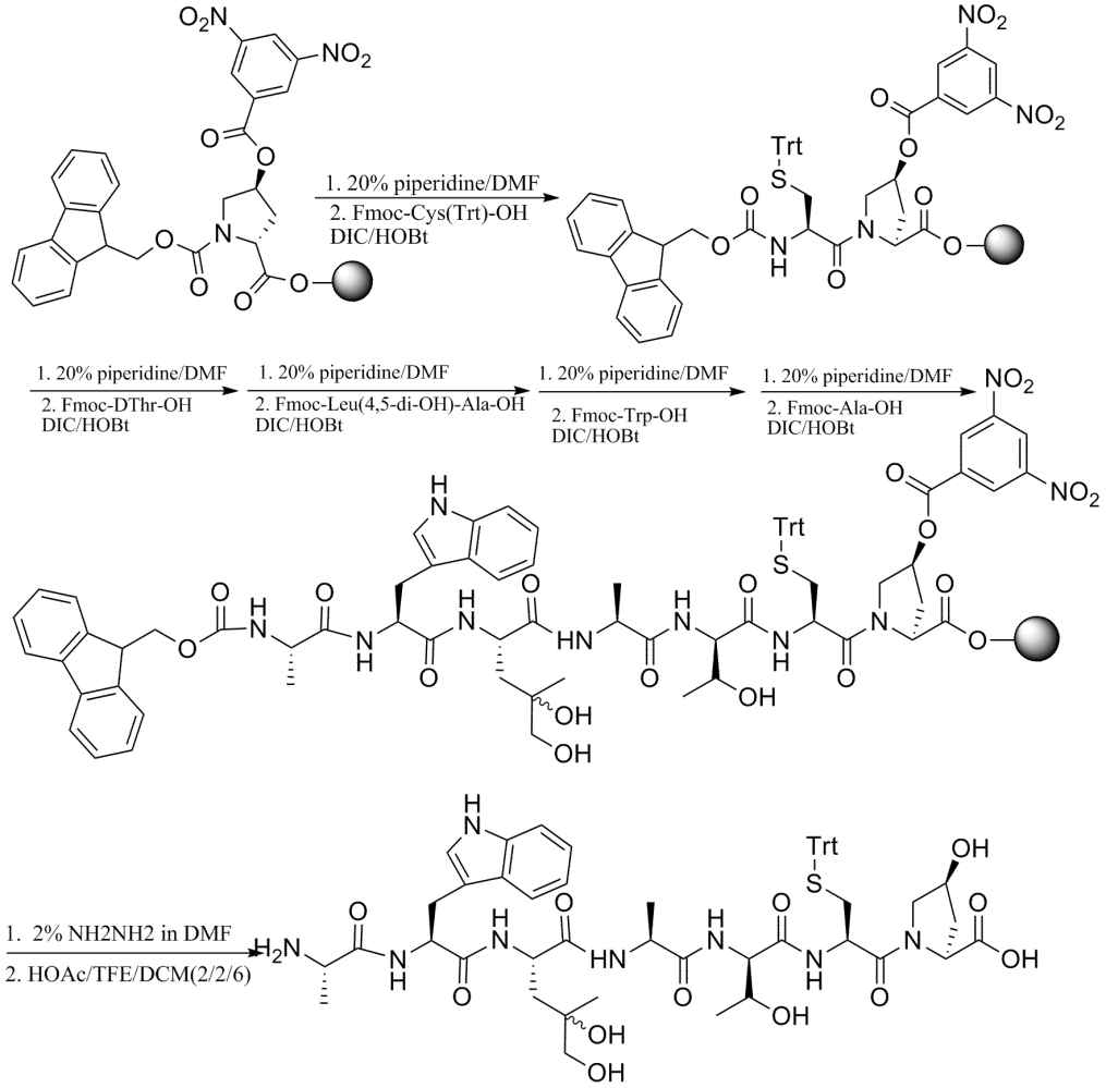 鬼笔环肽_百度百科