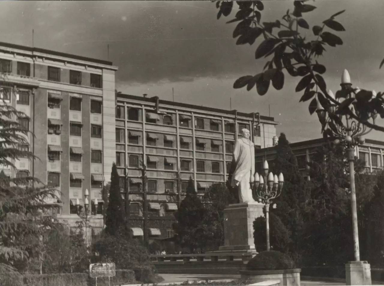 中国石油大学(华东)