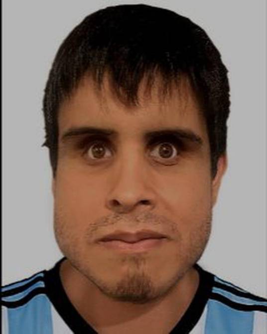 VELIZ Nicolas_百度百科