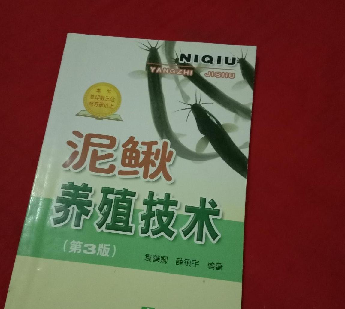 泥鳅养殖技术