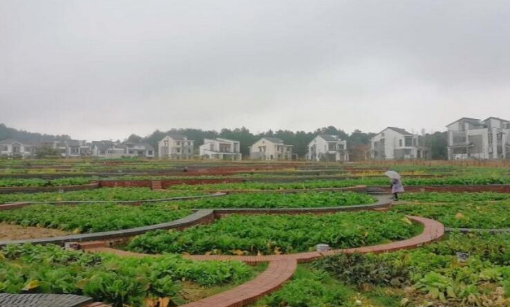  p>三封寺镇,隶属于湖南省岳阳市华容县,地处 a target="_blank" href