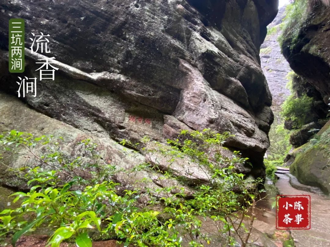 老茶客都不一定知道！流香涧在三坑两涧里，为啥这么低调？_百科TA说