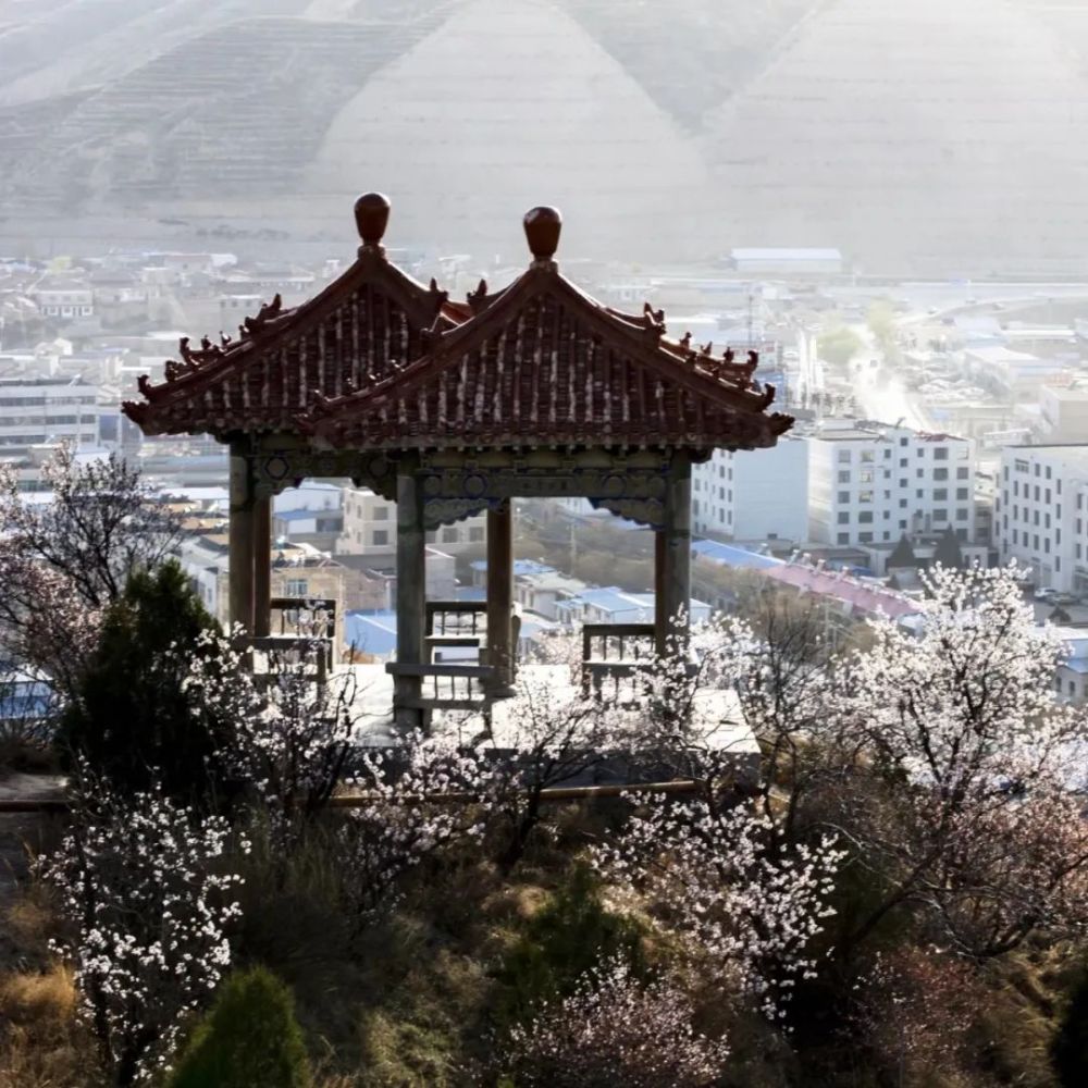  p data-id="gnbiog9kks">桃花山,位于甘肃省会宁县城城东南约有1公里