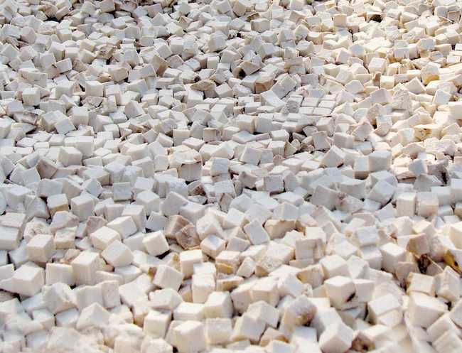  p data-id="gnbpp0664c">白茯苓,中药名.