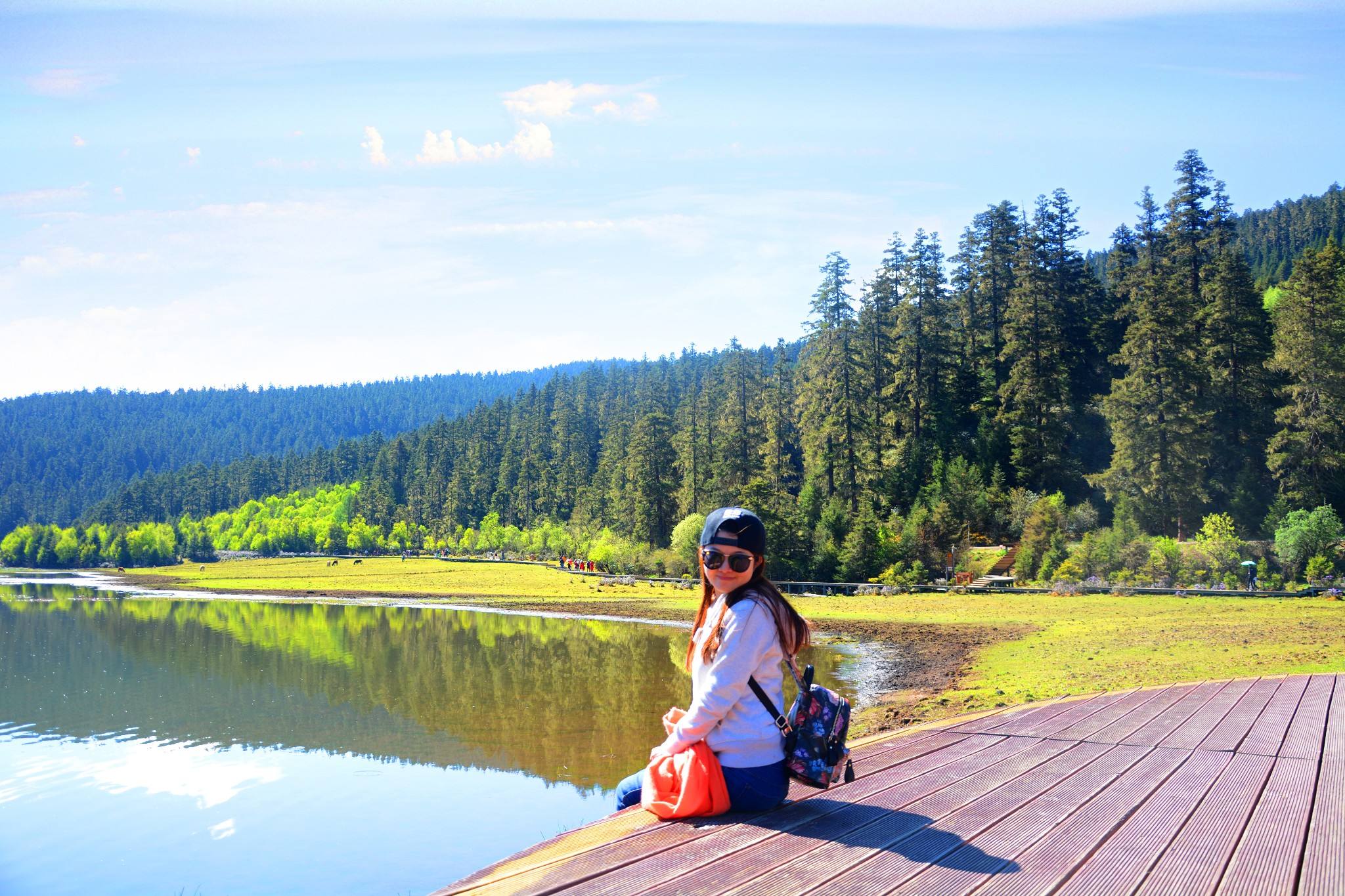 迪庆州香格里拉普达措景区