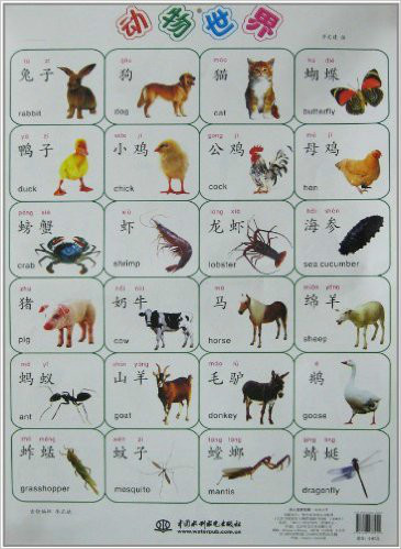 幼儿启蒙挂图:动物世界