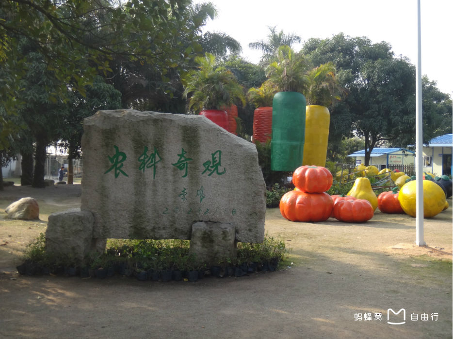 珠海农科奇观