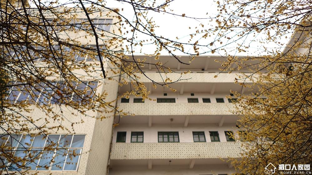  p>湖南省洞口县第一中学是 a target="_blank" href="/item/湖南省