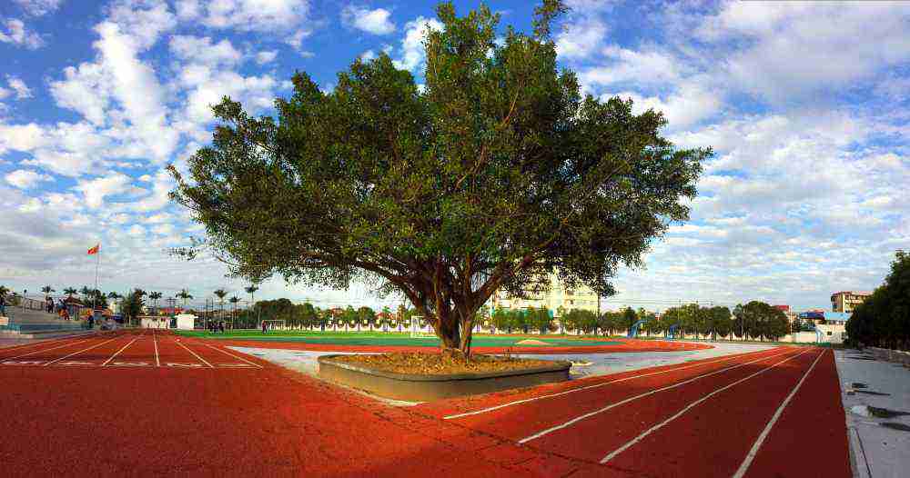 漳州市龙海区海澄中学
