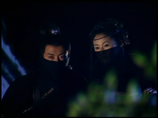 无情鸳鸯无情剑