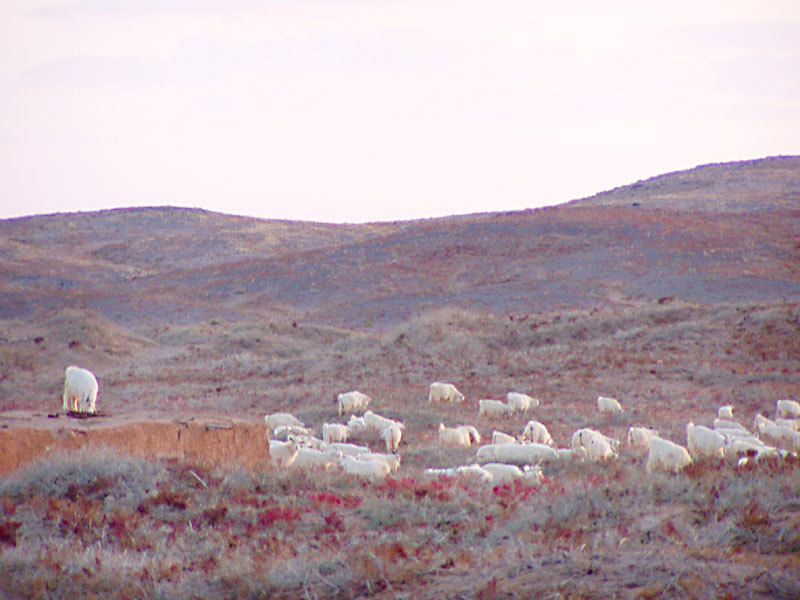  p data-id="gnyxa40ktb">玛瑙湖位于内蒙古巴彦淖尔市乌拉特后旗巴音