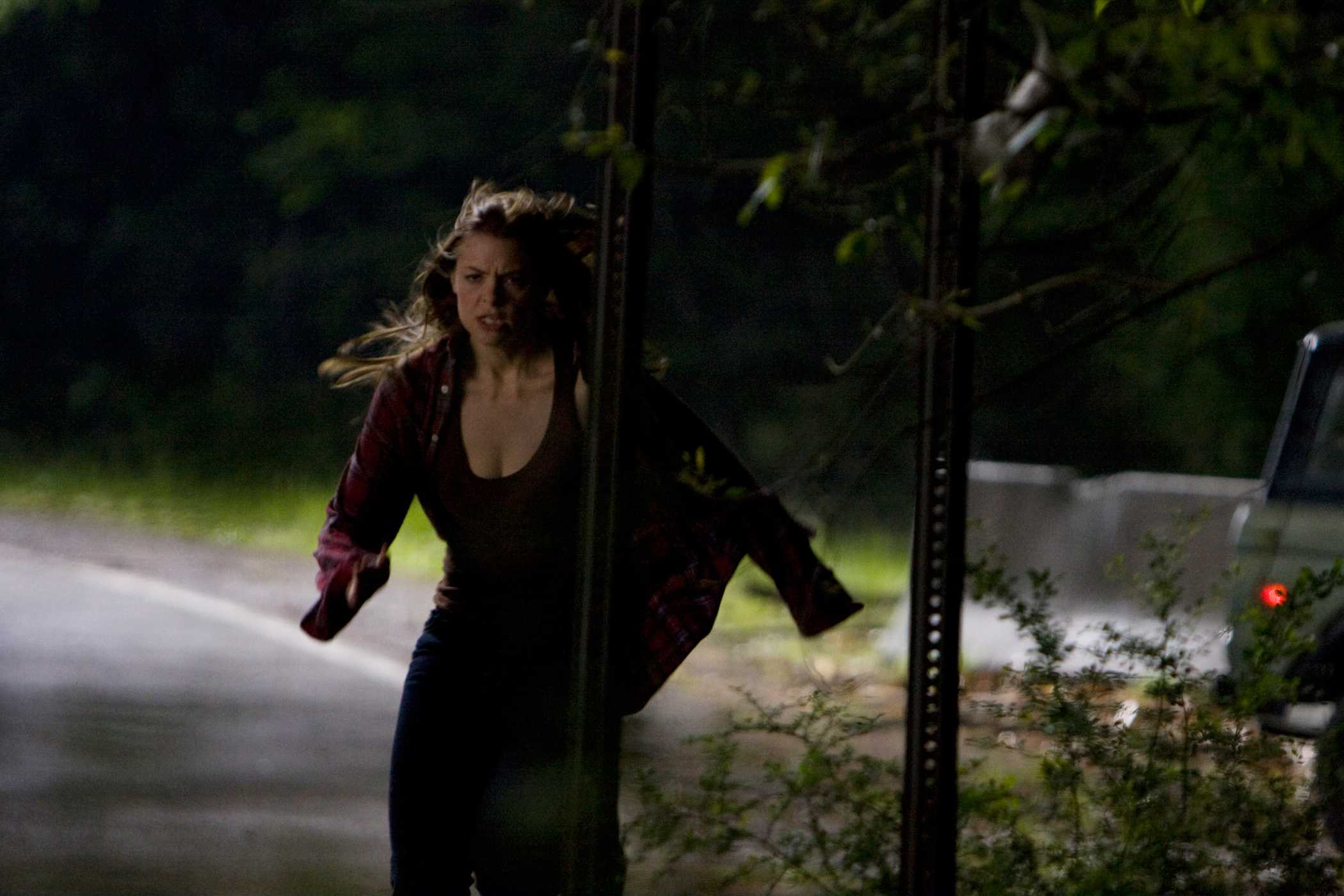 我的血腥情人节